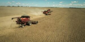 Balança comercial de Goiás registra superávit de US$ 803 milhões