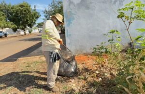 Catalão reforça manejo ambiental para combater focos do Aedes aegypti